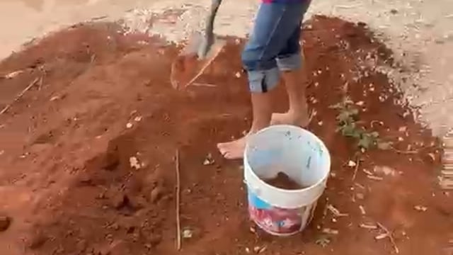 Video experiencia Shambhala 2