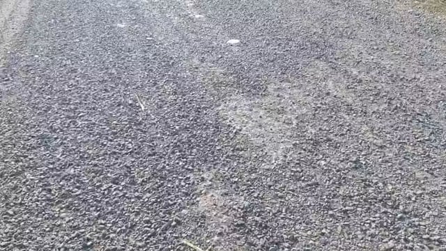 ▶️......लखीमपुर- कस्बा खीरी से ओयल ट्रामा सेंटर जाने वाली सड़क एक साल में ही कई जगह से उखड़ गई है, बजरी निकलने और गड्ढे बनने से हालात खराब हो चुके हैं, स्थानीय लोगों का कहना है कि निर्माण के वक्त ही गुणवत्ता पर सवाल उठाए गए थे लेकिन शिकायतों पर ध्यान नहीं दिया गया, बार बार मरम्मत के बावजूद स्थिति जस की तस बनी हुई है