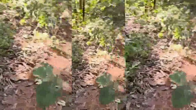 गडचिरोलीत पोलीस विर जवानाला अखेरची मानवंदना deepak madawi