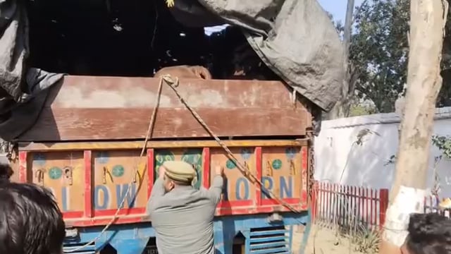 गौवंश से भरा ट्रक पकड़ा, चालक हिरासत में
शाहजहाँपुर। थाना रोजा क्षेत्र के गुर्री चौकी अंतर्गत गौरक्षकों ने गौवंश से भरे एक ट्रक को पकड़ लिया। ट्रक में क्षमता से अधिक गौवंश लदे थे, जिनमें एक बछड़े की मौत हो गई। सूचना पर पहुंची पुलिस ने ट्रक को कब्जे में लेकर चालक को हिरासत में ले लिया। चालक ने बताया कि वह पंजाब से गौवंश लेकर बिहार जा रहा था। पुलिस ने मृत बछड़े का शव पोस्टमार्टम के लिए भेजते हुए पशु क्रूरता व गौवंश तस्करी अधिनियम के तहत कार्रवाई शुरू कर दी है।