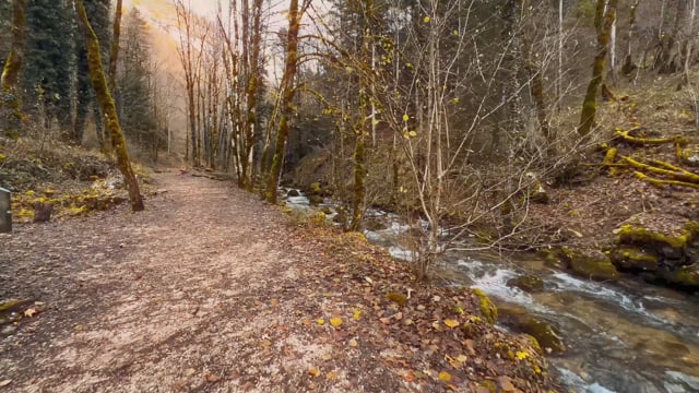Nature Walk – Cascades du Hérisson, France 1