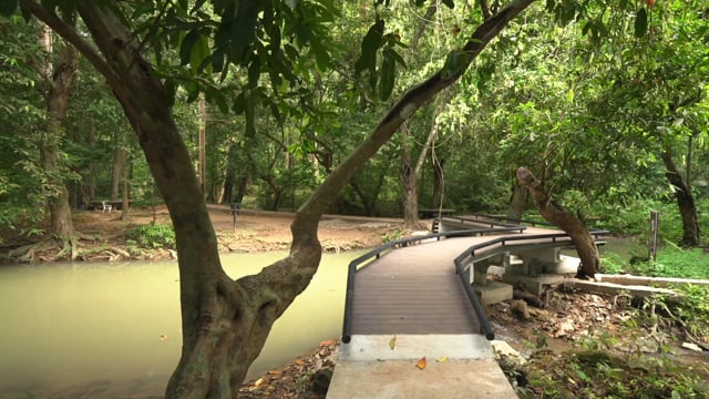 Nature Walk – Relaxing Waterfall and Rainforest, Than Bok Khorani National Park, Thailand 1