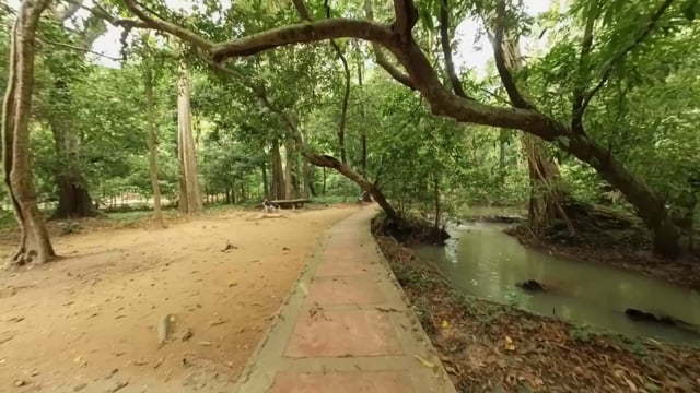 Virtual Jog – Waterfall and Rainforest, Than Bok Khorani National Park, Thailand 1