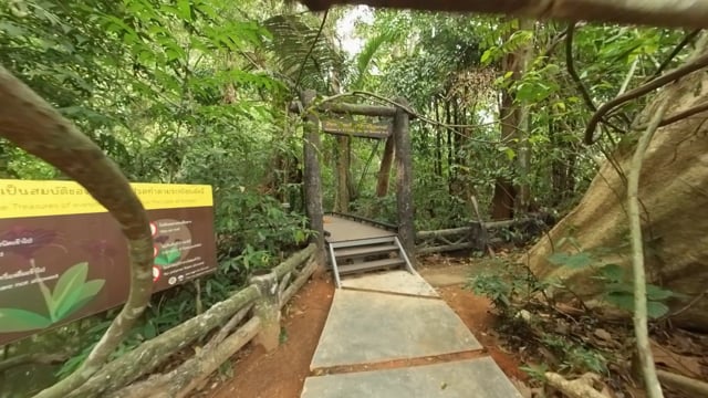 Virtual Jog – Waterfall and Rainforest, Than Bok Khorani National Park, Thailand 2