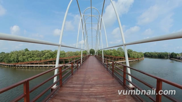 Virtual Cycle Rides – Mangrove Boardwalks Wide View 3