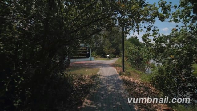 Virtual Run – Mangrove Boardwalks 1