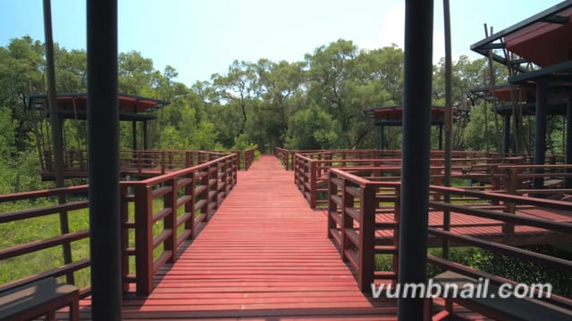 Virtual Run – Mangrove Boardwalks 2