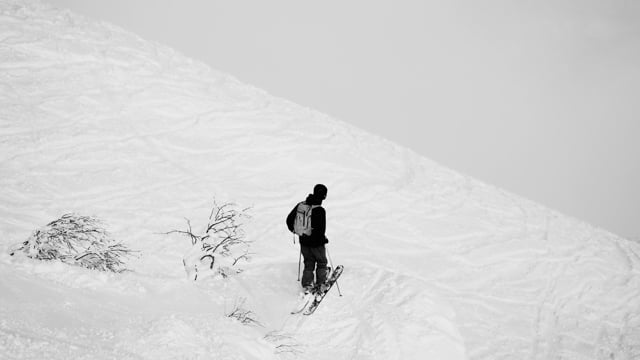 VIGHT Between Motion and Stillness