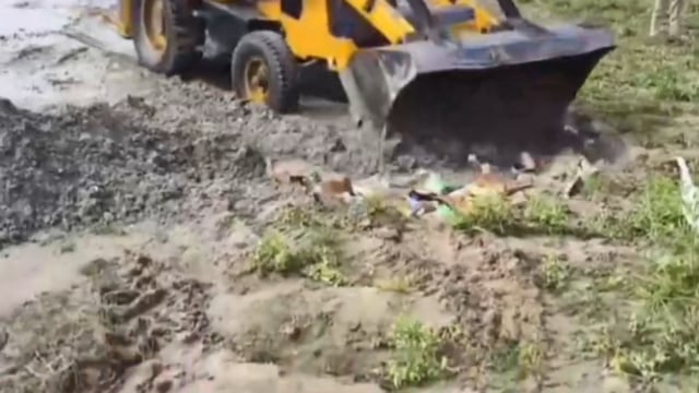 कलियर! पुलिस ने कोर्ट के आदेश पर अवैध रूप से संग्रहित पटाखों का  किया सुरक्षित विनष्टिकरण!