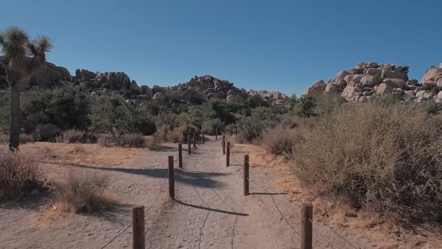 Virtual Cycle Rides – Joshua Tree National Park XL Ride, California, USA 2