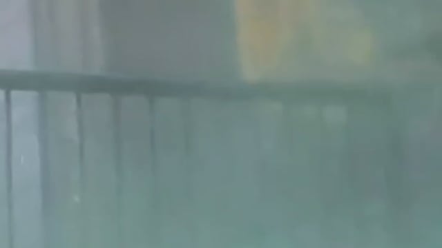 बसंत पंचमी से ही ब्रज में मची हुई है होली की धूम