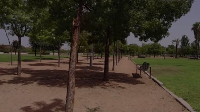 Virtual Run – Guadalquivir River, Córdoba, Spain 2