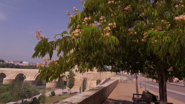 Virtual Run – Old City of Córdoba, Spain 1