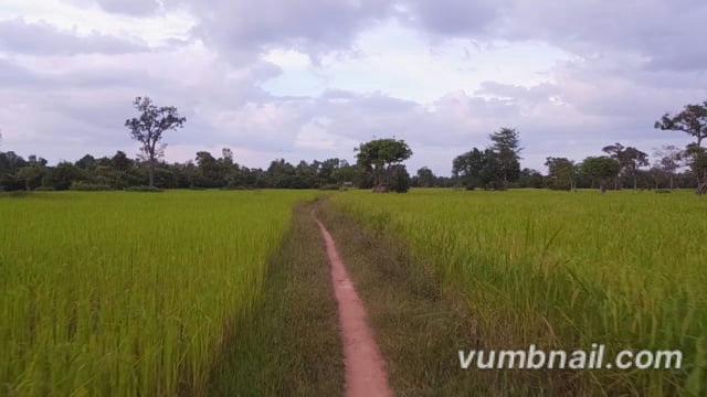 Virtual Run – Siem Reap Countryside, Cambodia 3