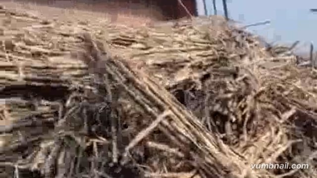 ओवरलोड गन्ना ट्राली की कार से टक्कर, बड़ा हादसा टला, भीरा-लखीमपुर मार्ग पर भानपुर के पास हुई दुर्घटना