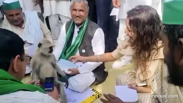 🆕 ....बागपत ब्रेकिंग...

नो मटरू.....- डीएम बागपत
बागपत में एक भावुक दृश्य देखने को मिला जब डीएम अस्मिता लाल का साड़ी का पल्लू एक लंगूर ने पकड़ लिया।
यह घटना उस समय की है जब डीएम भारतीय किसान यूनियन के धरने पर ज्ञापन लेने पहुंची थीं। लौटते समय लंगूर ने स्नेहवश उनका पल्लू थाम लिया, जिसे वहां मौजूद लोगों ने दिल को छू लेने वाला पल बताया।
पशु प्रेमी के रूप में पहचानी जाने वाली डीएम अस्मिता लाल पहले भी पशुओं के संरक्षण और देखभाल के लिए काम करती रही हैं, और यह दृश्य उसी संवेदनशीलता की झलक माना जा रहा है।