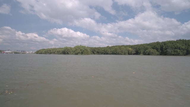 Virtual Rowing  Mangrove River - Krabi - Thailand 3