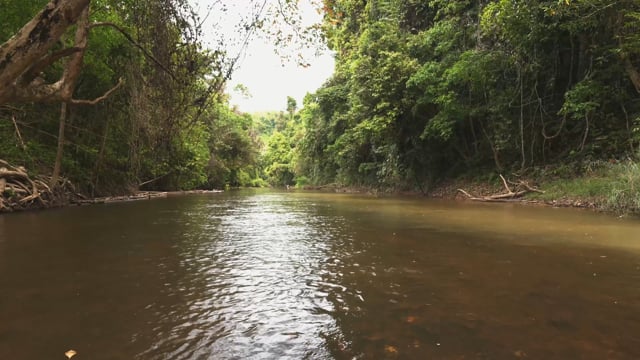 Virtual Rowing -  Khao Sok National Park - Thailand + Binuaral Audio
