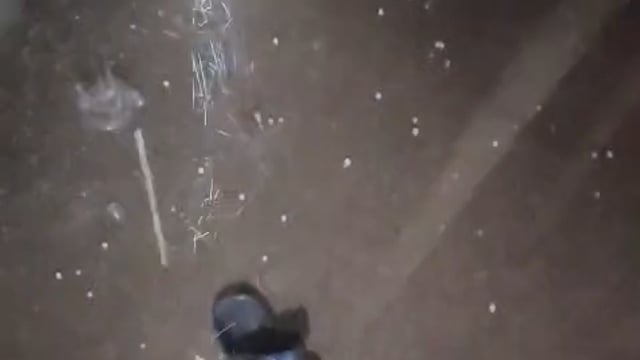 🛑जिला बीकानेर तहसील बीकानेर गांव गाढ़वाला में ओलावृष्टि 🌧️🌧️*