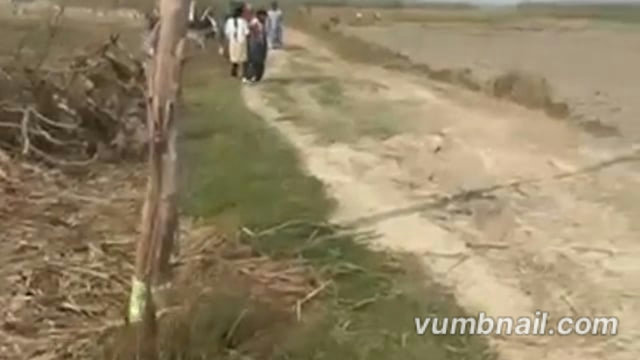 पलिया क्षेत्र में विधवा की जमीन पर जनरन कब्जा का प्रयास,पीड़िता ने पुलिस को प्रार्थना पत्र देकर की कार्रवाई की मांग