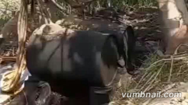 निघासन में आबकारी विभाग की बड़ी कार्रवाई, 50 लीटर कच्ची शराब बरामद, 300 लीटर लहन व दो भट्टियां नष्ट