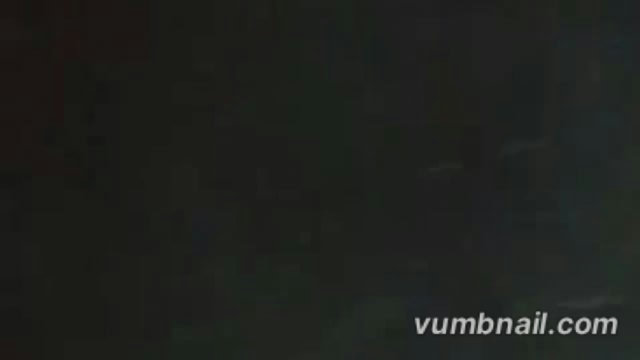 तेज रफ्तार वाहन ने ‘स्याही’ को कुचला, हालत नाजुक पलिया-दुधवा रोड पर हादसा, सूचना पर पहुंची वन विभाग की टीम