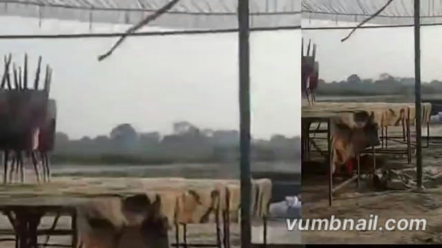 आज की सभी बड़ी खबरें 22/02/2026 || dinbhar ki badi khabren ||  pratapgarh news @reporterJitendra 