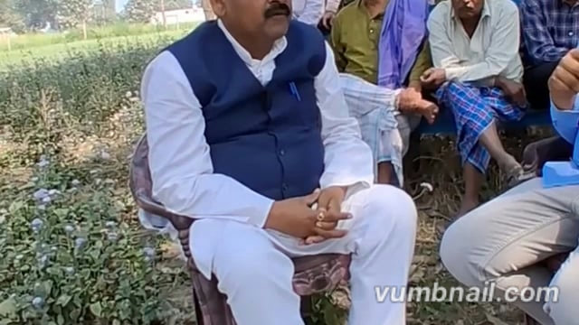 अंबेडकर नगर..
280 विधानसभा जलालपुर से सपा नेता डॉक्टर राजेश सिंह ने यूजीसी को लेकर क्या कुछ कहा👇👇👇👇