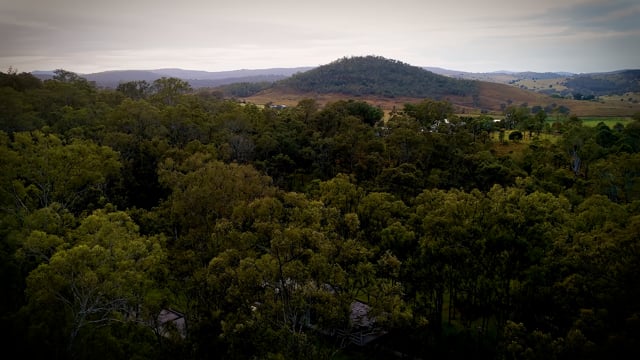 A taste of The Gathering