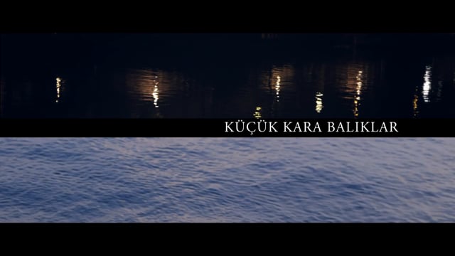 KÜÇÜK KARA BALIKLAR