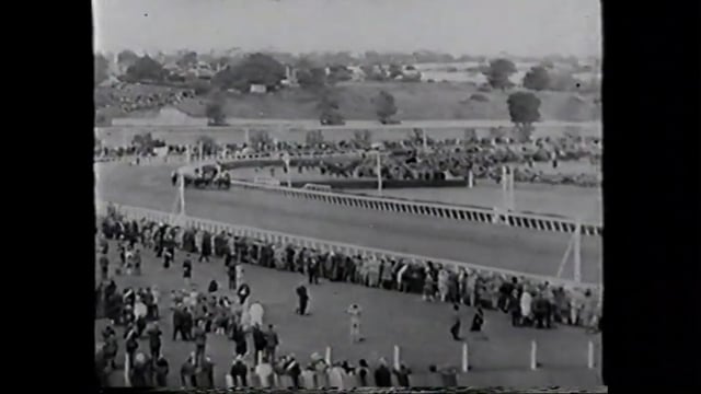 A century of Phar Lap