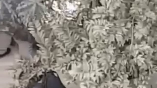 ▶️.....BSF के कमांडंट Jibu B Mathew को CBI ने पकड़ा है। उनके पास से ₹76 लाख कैश मिला और घर से ₹96 करोड़ जब्त किए गए। वे भारत-बांग्लादेश बॉर्डर पर तैनात थे।