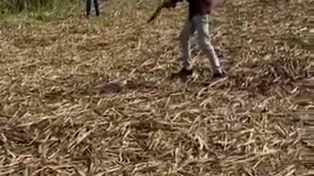 ▶️......मेरठ - पत्नी के प्रेमी की सरेआम गोली मारकर हत्या करने के आरोपी प्रदीप धीमान को पुलिस ने गिरफ्तार कर लिया है। गिरफ्तारी के दौरान हाई वोल्टेज ड्रामा देखने को मिला, जब आरोपी ने पुलिस पर तमंचा तान दिया और कई मिनट तक उन्हें छकाता रहा।