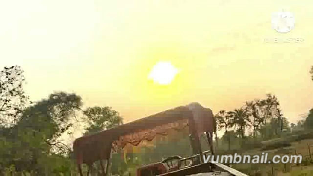 अवैध बालू लोडेड ट्रेक्टर जब्त 