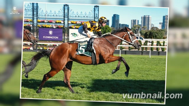 Damien Lane and Joliestar win in 2025