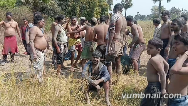 बिहार के गांव की होली कादो  माटी के संग