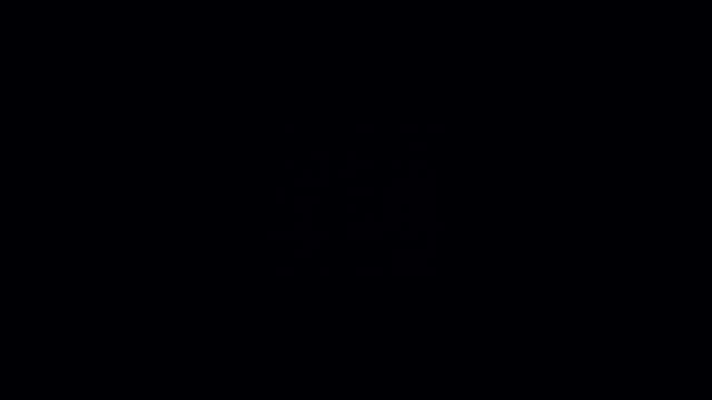 Video-Vorschau