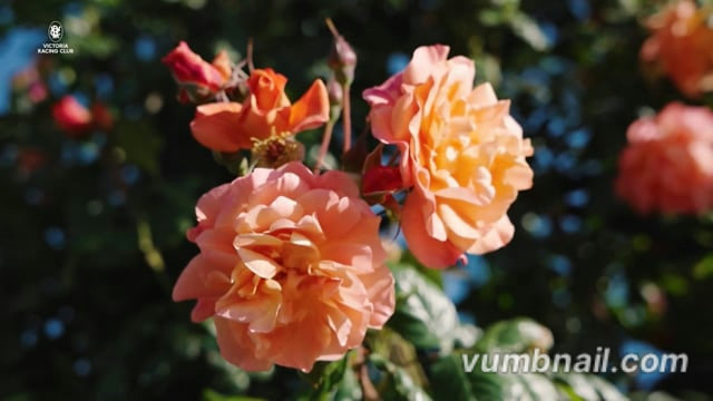 Welcome to Super Saturday