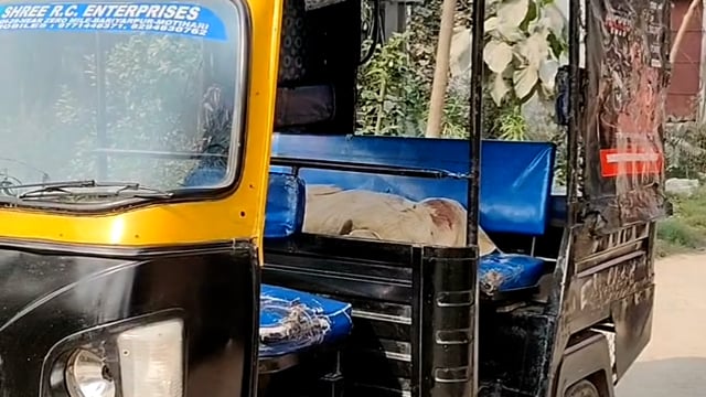 रंगों के त्योहार पर दर्दनाक हादसा, अज्ञात वाहन की टक्कर से मासूम की मौत