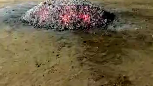 ▶️......ये होली छत्तीसगढ़ के*

 सुकमा जिले के पेंडलनार गांव में खेली जाती है।*