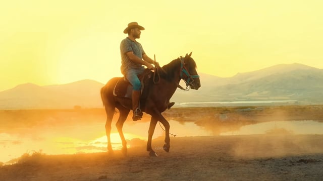 Cinematic Equestrian Edit