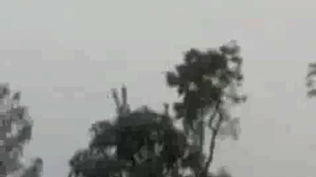 तरबगंज में विवाहिता को पीटा, पति समेत चार पर केस दर्ज