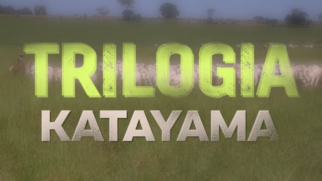 Grandes Criatórios<br>Pecuária Katayama