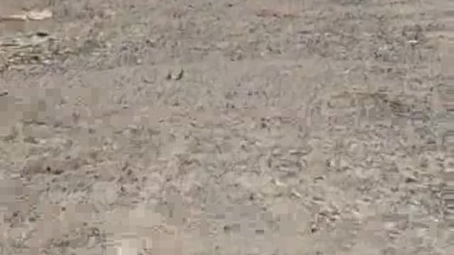 खुटार ब्लाॅक क्षेत्र में जर्जर सड़क से ग्रामीण बेहाल, स्कूली बच्चों को भी उठानी पड़ रही भारी परेशानी