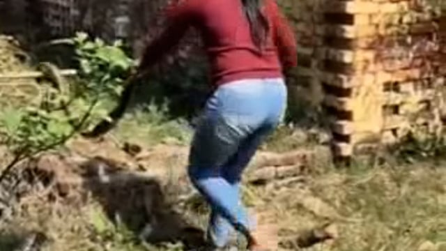 ग्राम बंशीनगर में निकला विशालकाय अजगर, ग्रामीणों में मचा हड़कंप