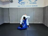 Fake over under (signature move)