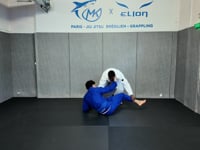 Shin slice x pass high step top spin