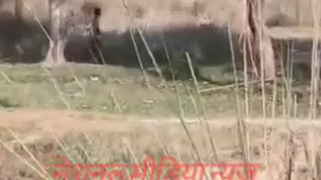 अंबेडकरनगर..नीलगायों पर गोली चलाने का वीडियो वायरल,
आरोपी पर मुकदमा दर्ज करने की तैयारी।