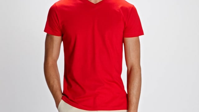 Video for Samoyedo kortermet T-skjorte med V-hals til herre med trykk