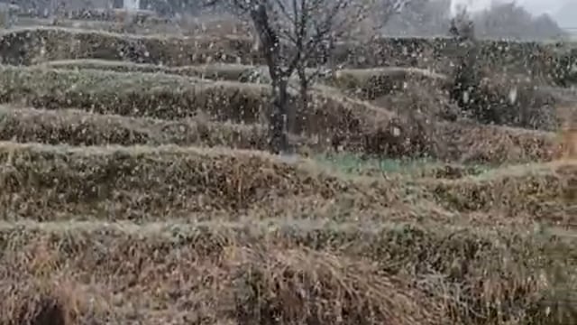 ▶️......हिमाचल के चंबा में हो रही है अभी-अभी ताजा बर्फबारी*